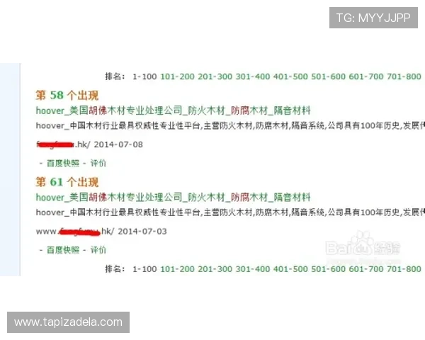 优化NG南宫旗舰厅登录线路连接速度的实用技巧与注意事项