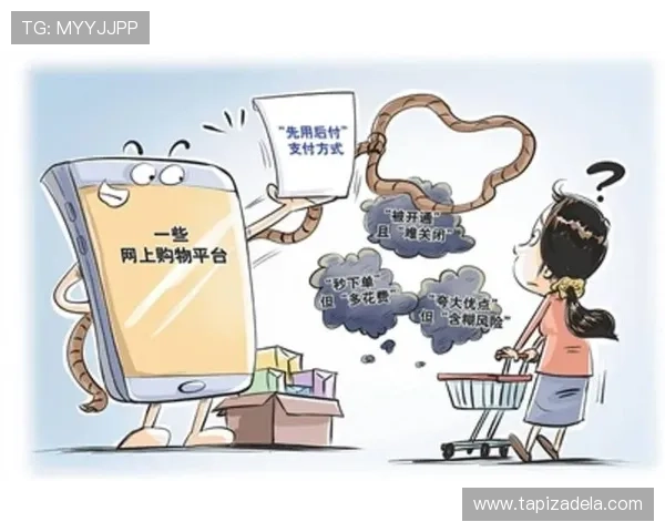 ds视讯平台的安全支付方式介绍，保障每一笔交易的安全与便捷